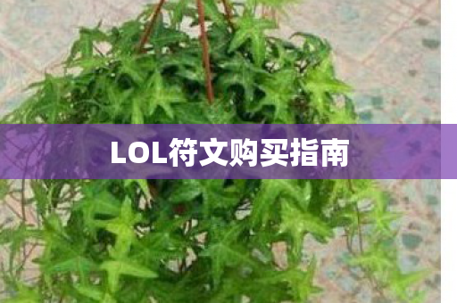 LOL符文购买指南图片
