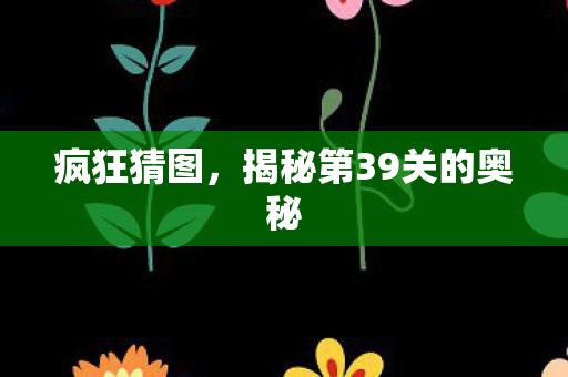 揭秘第39关的奥秘图片
