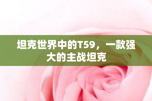坦克世界中的T59图片