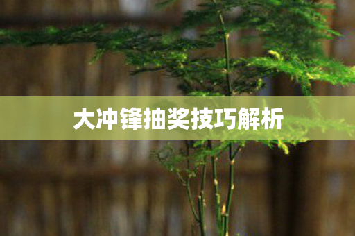 大冲锋抽奖技巧解析图片