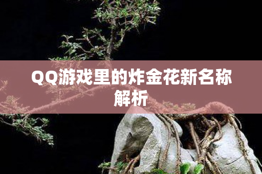 QQ游戏里的炸金花新名称解析图片