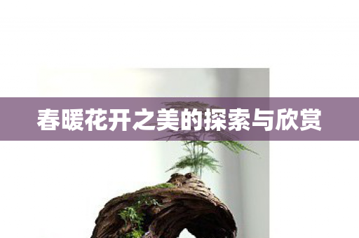 春暖花开之美的探索与欣赏图片
