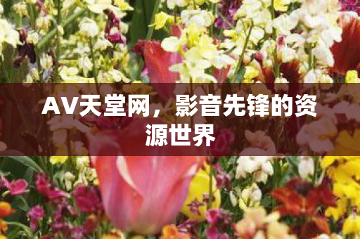 影音先锋的资源世界图片