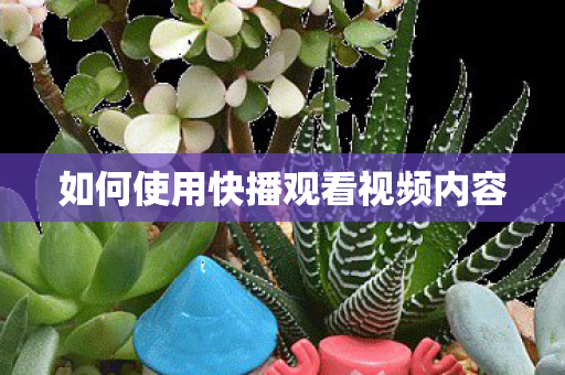 如何使用快播观看视频内容图片