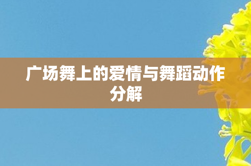 广场舞上的爱情与舞蹈动作分解图片