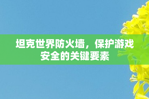 保护游戏安全的关键要素图片