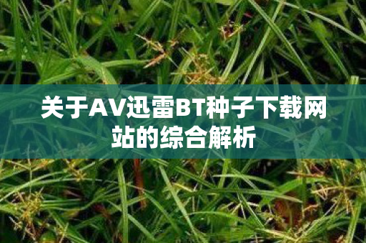 关于AV迅雷BT种子下载网站的综合解析图片