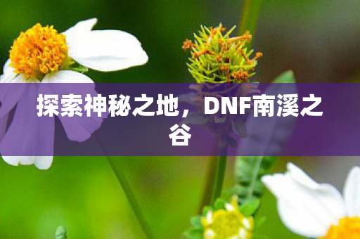 DNF南溪之谷图片