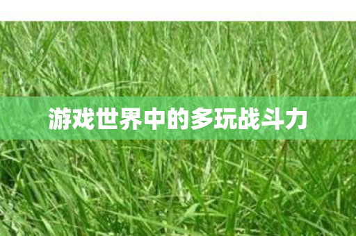 游戏世界中的多玩战斗力图片