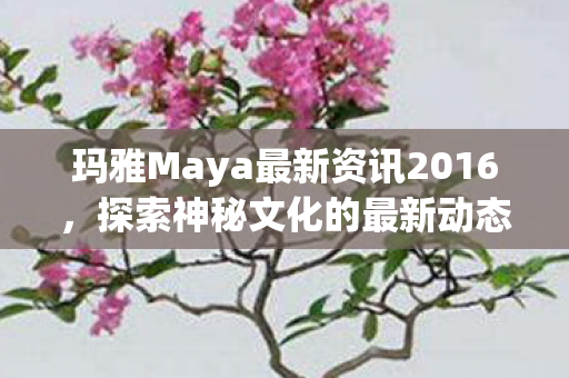玛雅Maya最新资讯2016图片
