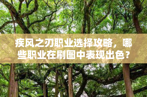 哪些职业在刷图中表现出色图片