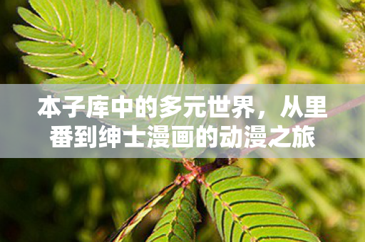 从里番到绅士漫画的动漫之旅图片