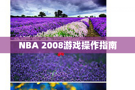 NBA 2008游戏操作指南图片