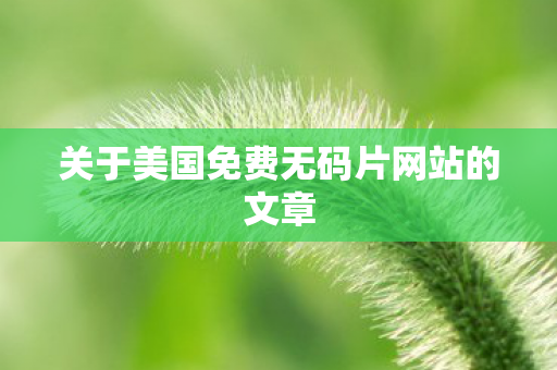 关于美国免费无码片网站的文章图片