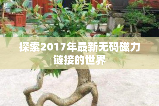 探索2017年最新无码磁力链接的世界图片