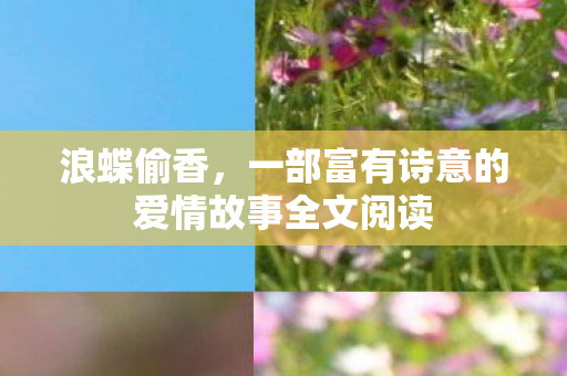 一部富有诗意的爱情故事全文阅读图片