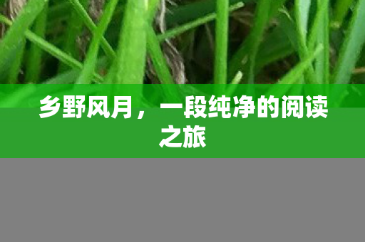 一段纯净的阅读之旅图片