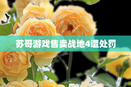 苏哥游戏售卖战地4遭处罚图片