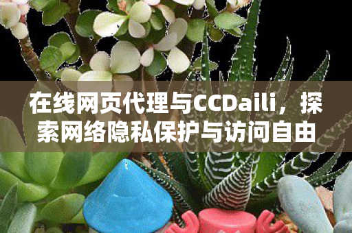 探索网络隐私保护与访问自由的平衡之道图片