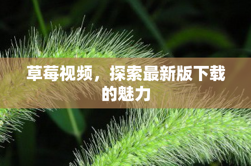 探索最新版下载的魅力图片