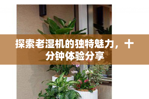探索老湿机的独特魅力图片