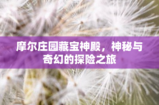 神秘与奇幻的探险之旅图片