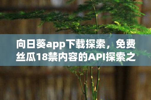 免费丝瓜18禁内容的API探索之旅图片