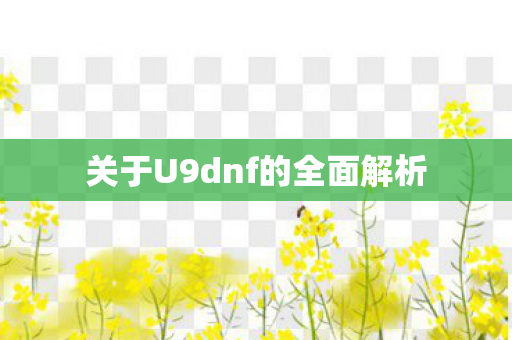 关于U9dnf的全面解析图片