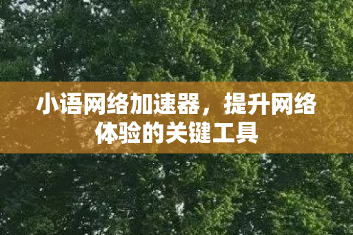 提升网络体验的关键工具图片