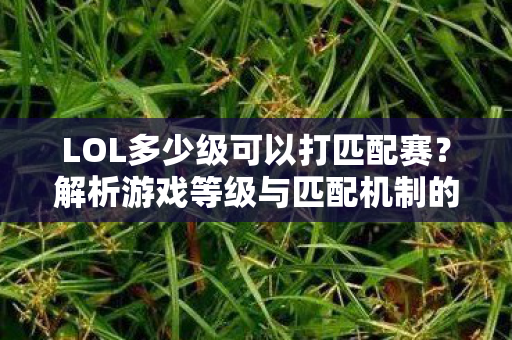 解析游戏等级与匹配机制的关系图片