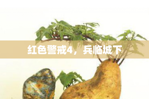 红色警戒4图片