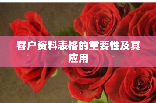 客户资料表格的重要性及其应用图片