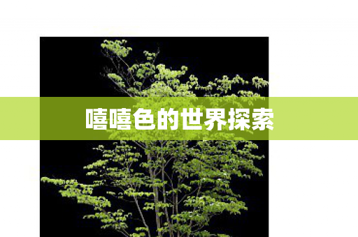 嘻嘻色的世界探索图片