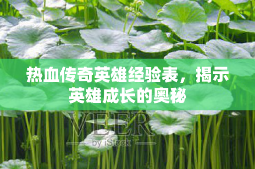 热血传奇英雄经验表图片