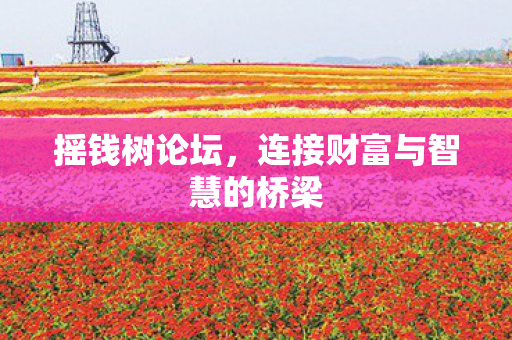 连接财富与智慧的桥梁图片