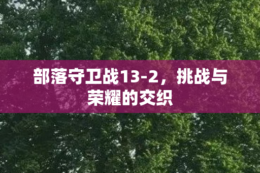 挑战与荣耀的交织图片