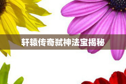 轩辕传奇弑神法宝揭秘图片