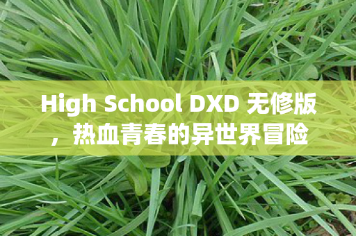 High School DXD 无修版图片