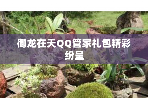 御龙在天QQ管家礼包精彩纷呈图片