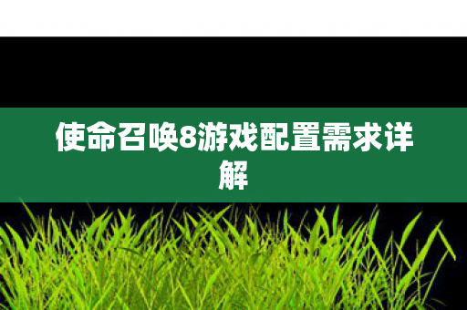 使命召唤8游戏配置需求详解图片