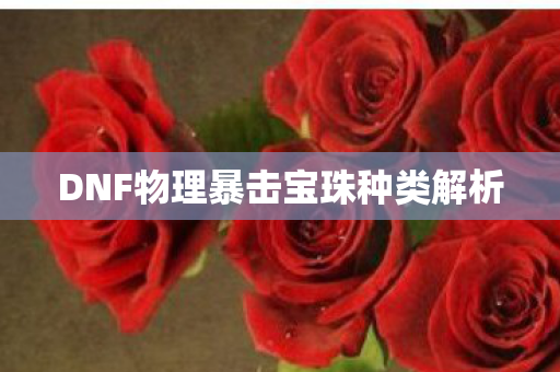 DNF物理暴击宝珠种类解析图片