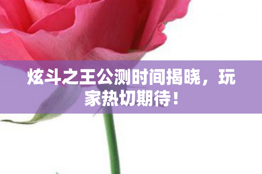 炫斗之王公测时间揭晓图片