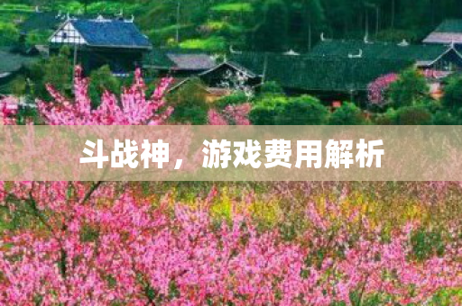 游戏费用解析图片