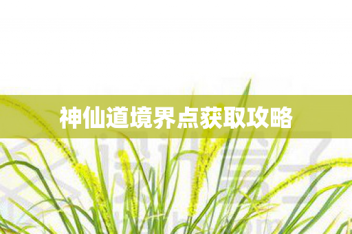 神仙道境界点获取攻略图片