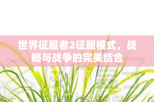 世界征服者2征服模式图片