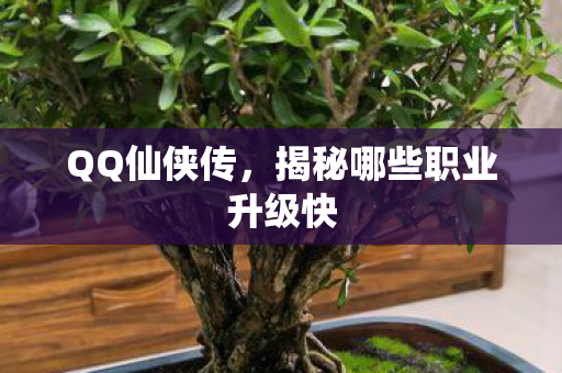 揭秘哪些职业升级快图片