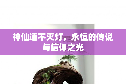 永恒的传说与信仰之光图片