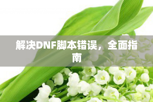 解决DNF脚本错误图片