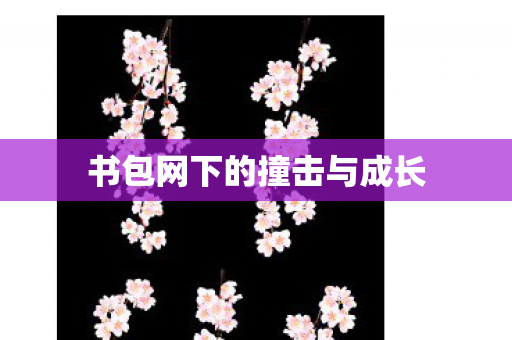 书包网下的撞击与成长图片