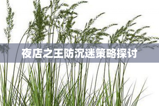 夜店之王防沉迷策略探讨图片
